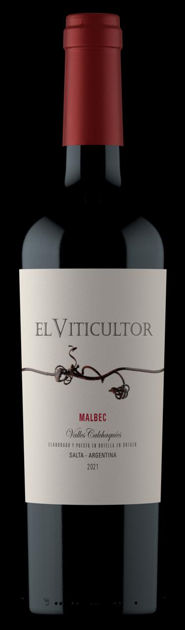 WhatsApp Image 2026-03-17 at 19.53.50