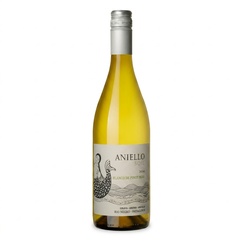 Aniello-Blanco-Pn